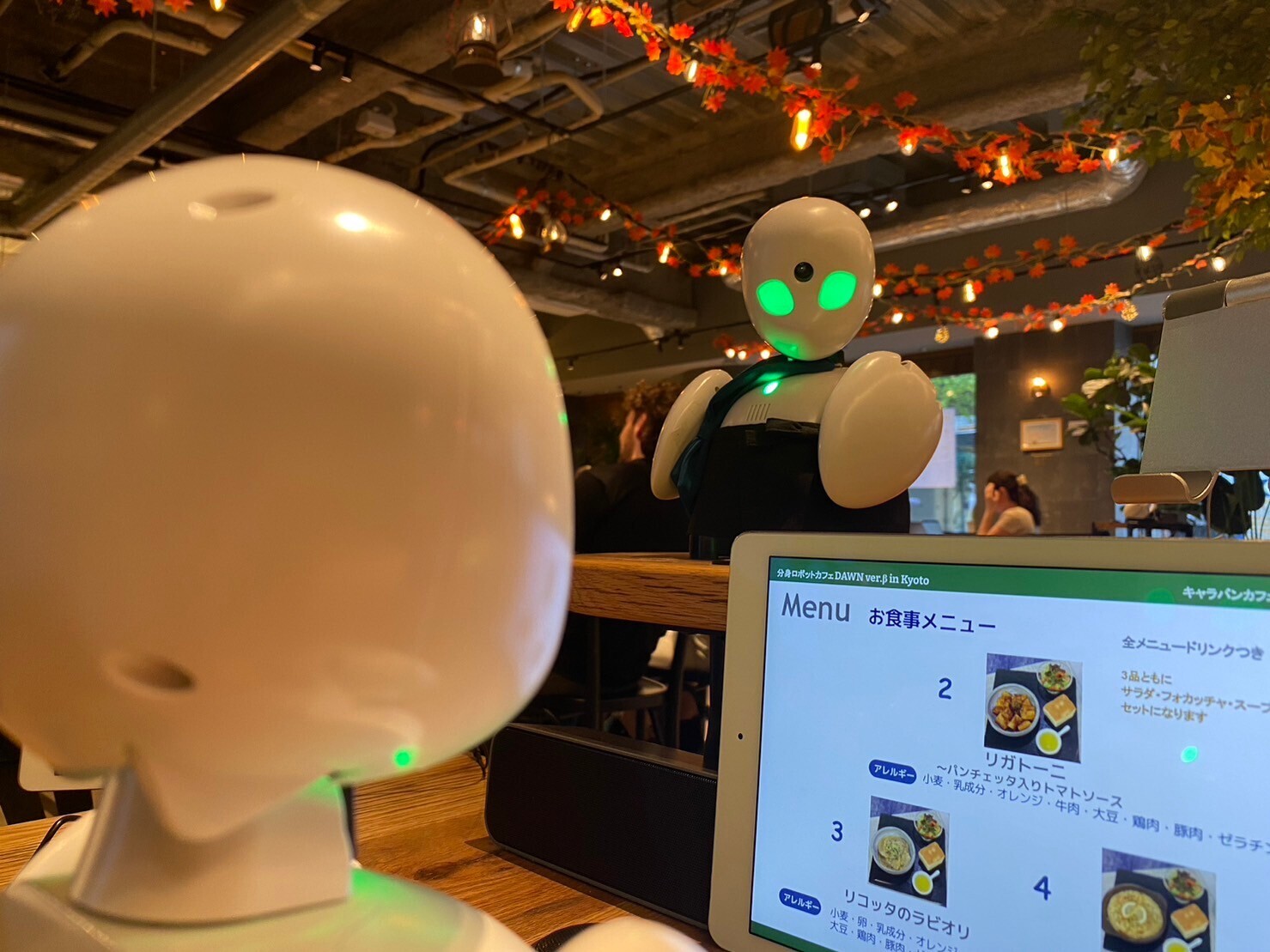 差替え画像② (1)